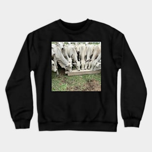 Cows Eating real photo Crewneck Sweatshirt